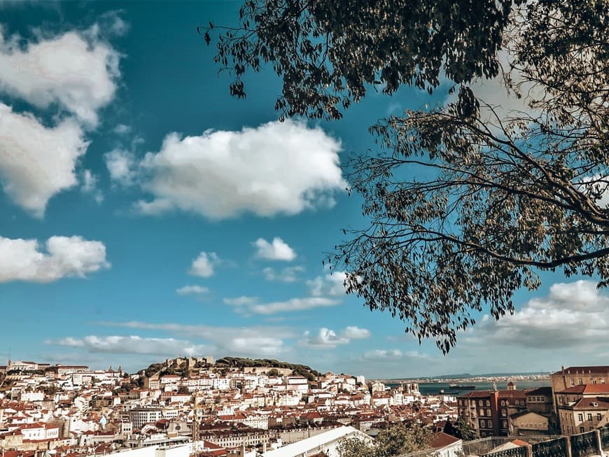 Lugar Jardín de São Pedro de Alcântara