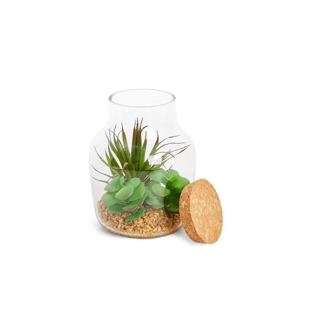 Producto Terrário vidro grande