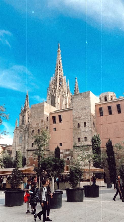 Lugar Catedral de Barcelona