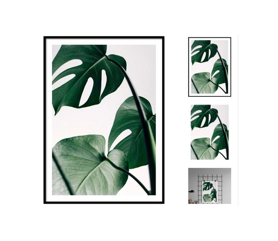 Producto MONSTERA THREE POSTER- Desenio