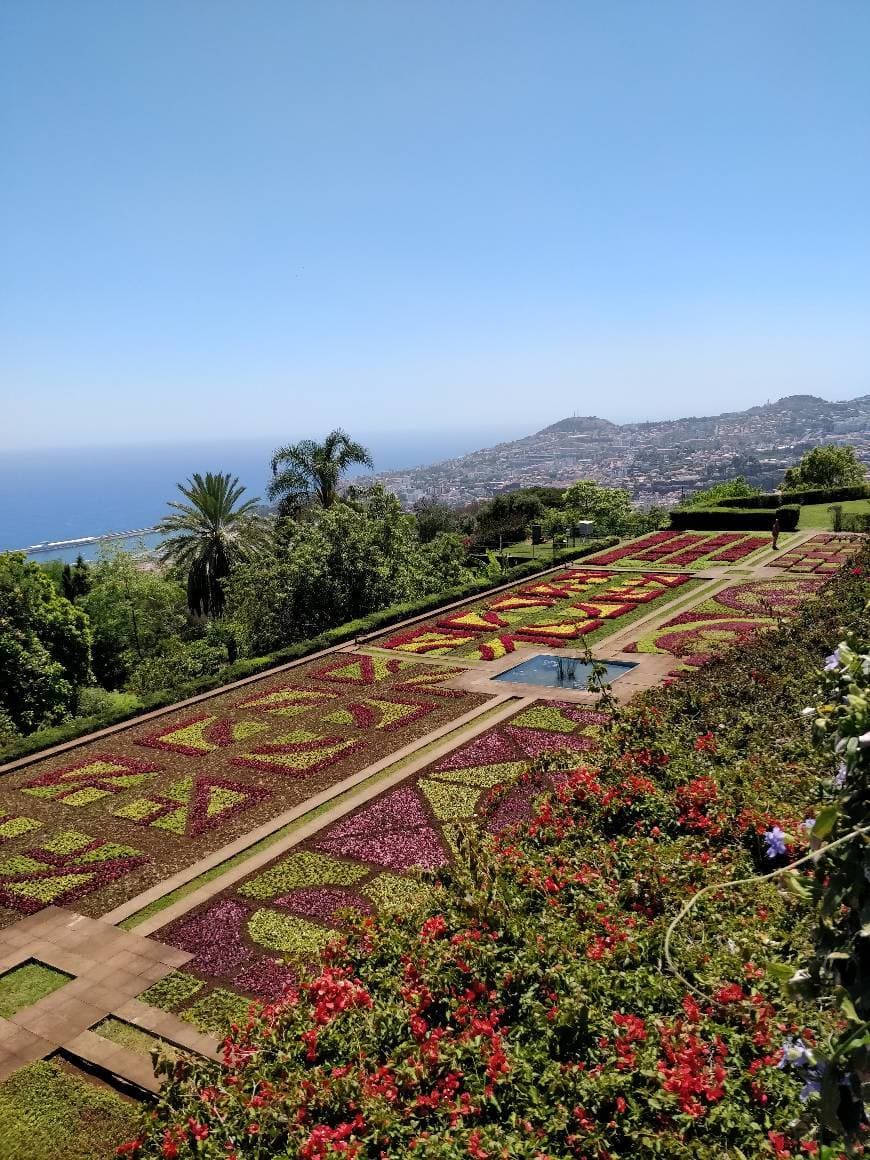 Place Jardín Botánico de Madeira