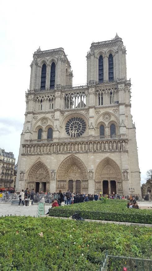 Place Notre Dame