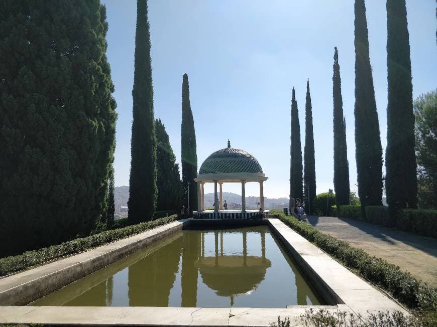 Place Jardín Botánico