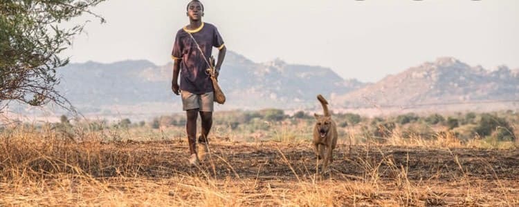 Movie The Boy Who Harnessed the Wind