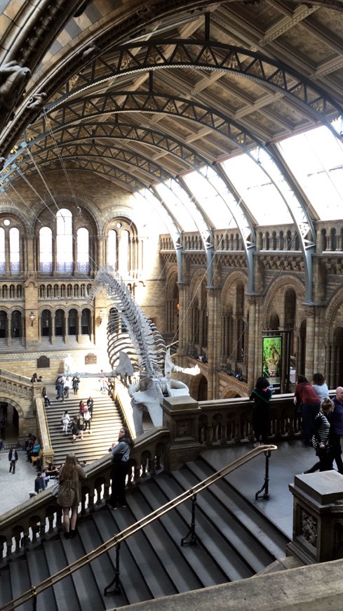 Lugar Natural History Museum