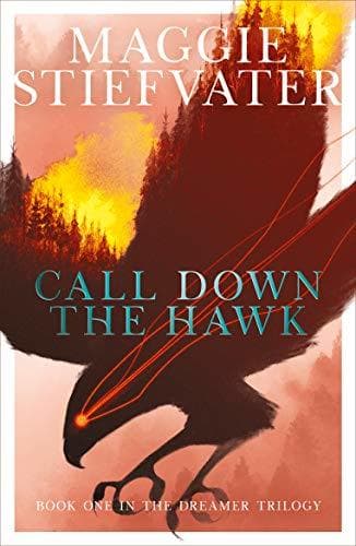 Book Call Down the Hawk