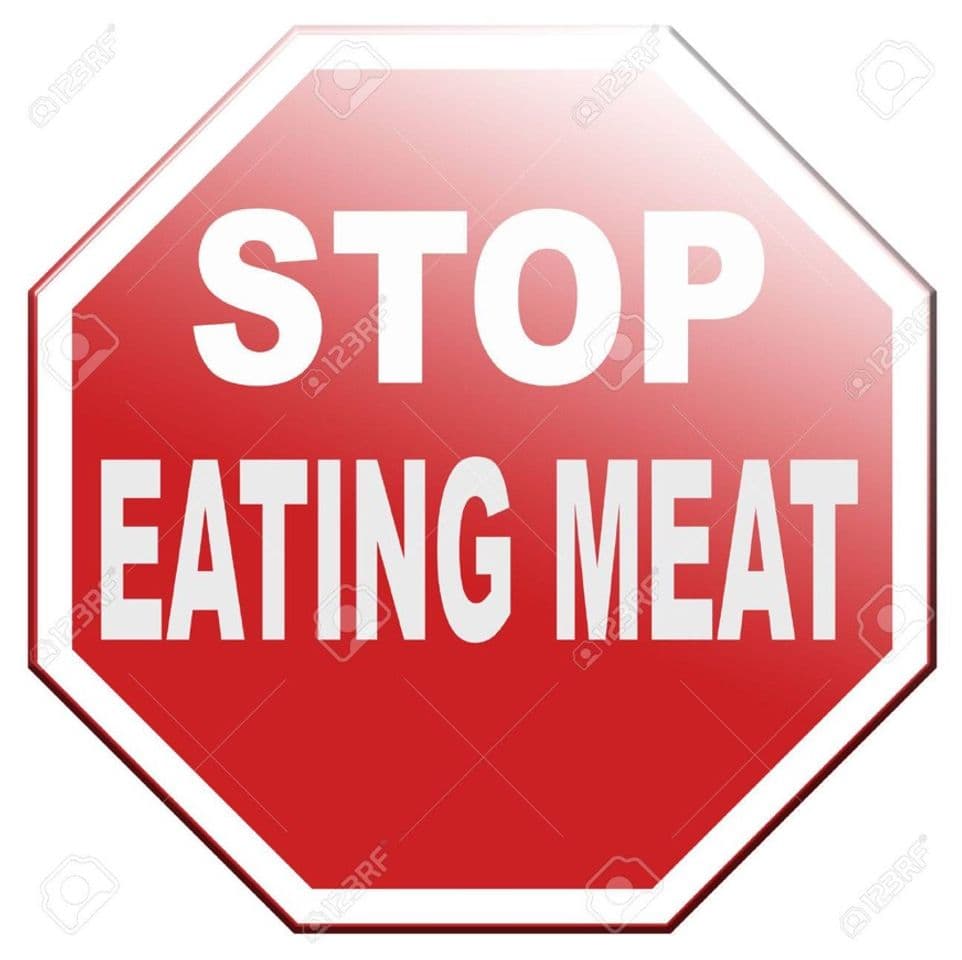 Fashion Stop Eating Meat - ionontimangio.com