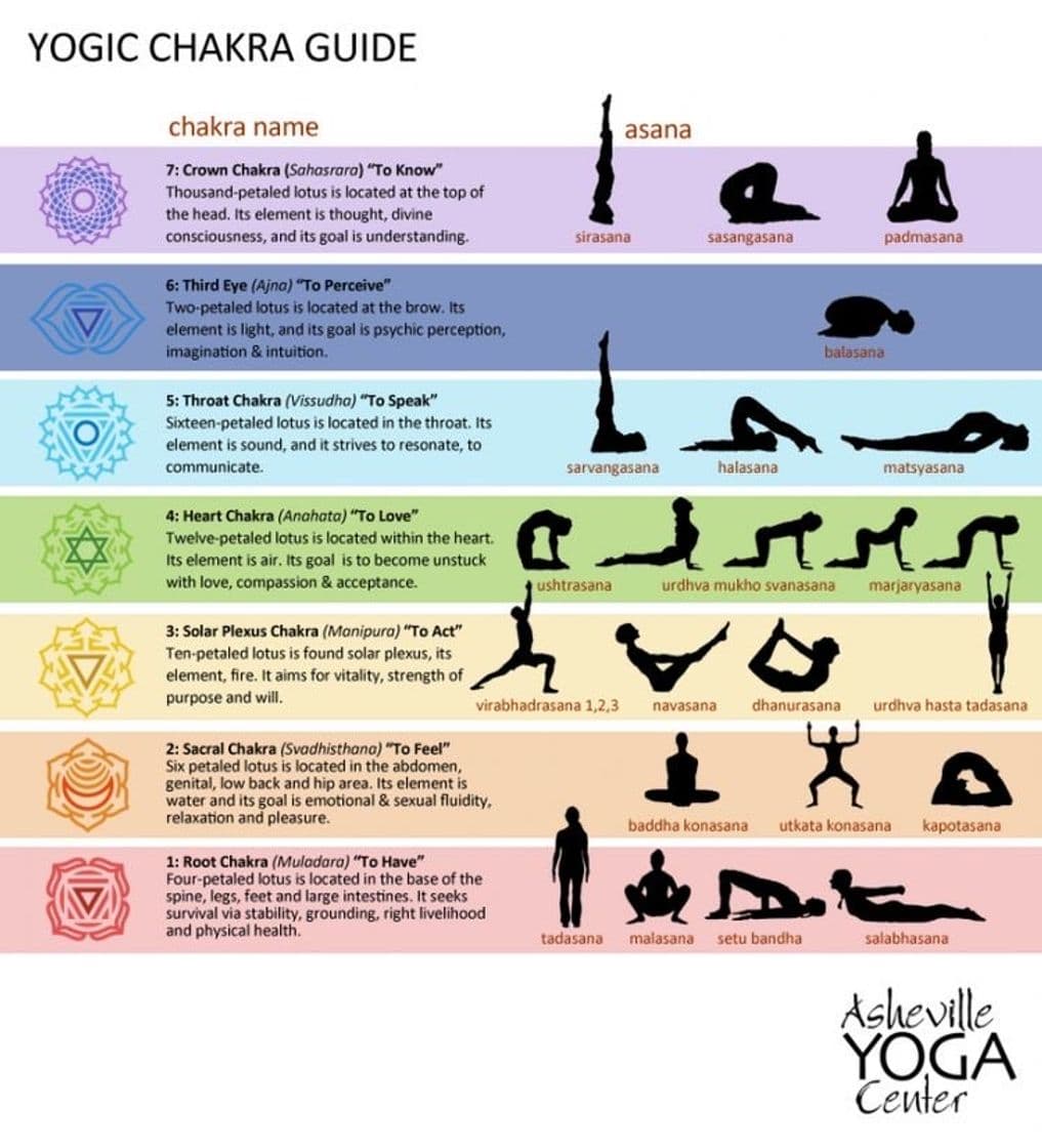 Moda Yoga - Chakras