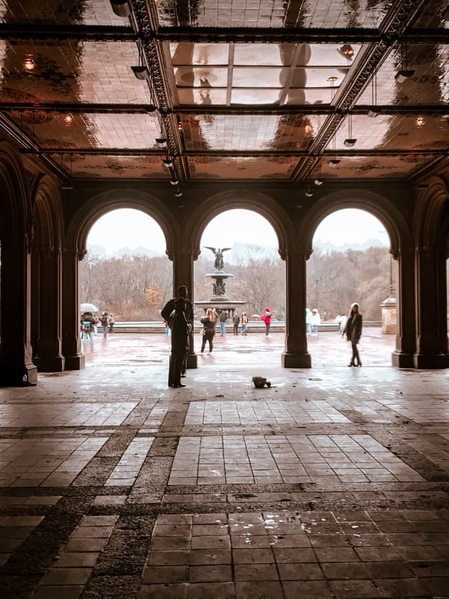 Place Bethesda Terrace