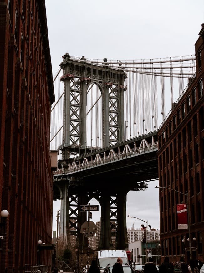 Place Dumbo street vista point