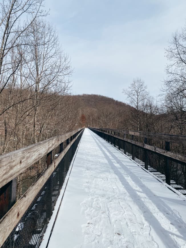 Place Ohiopyle