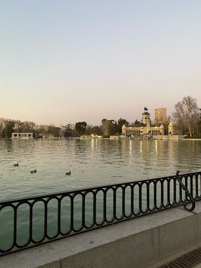 Place Parque El Retiro