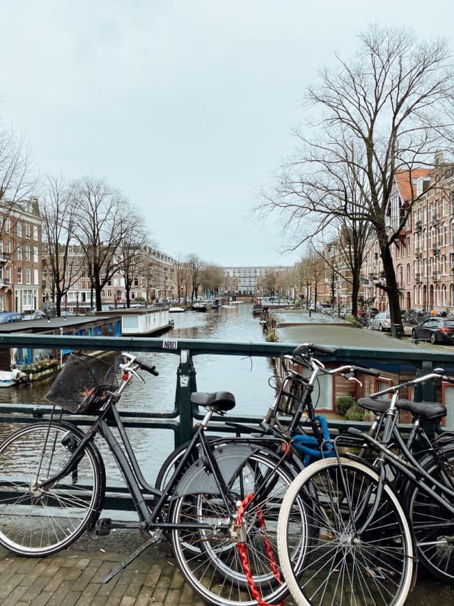 Place Canales de Ámsterdam