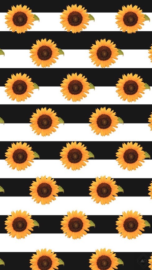 Moda wallpaper 🌻 