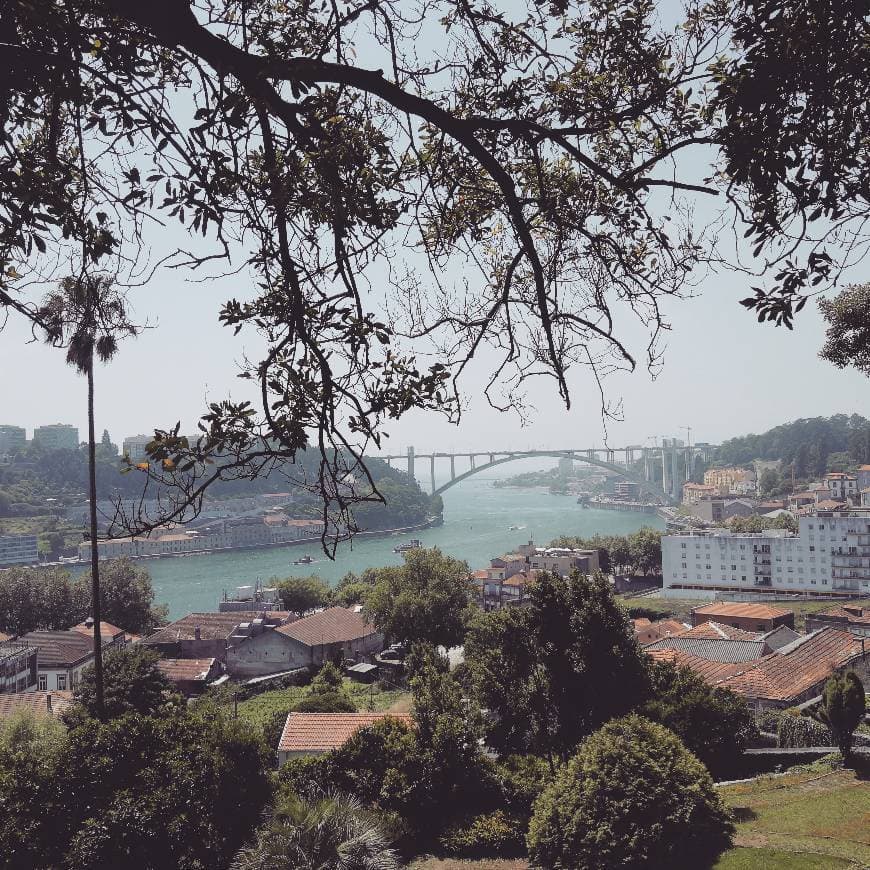 Place Puente de la Arrábida