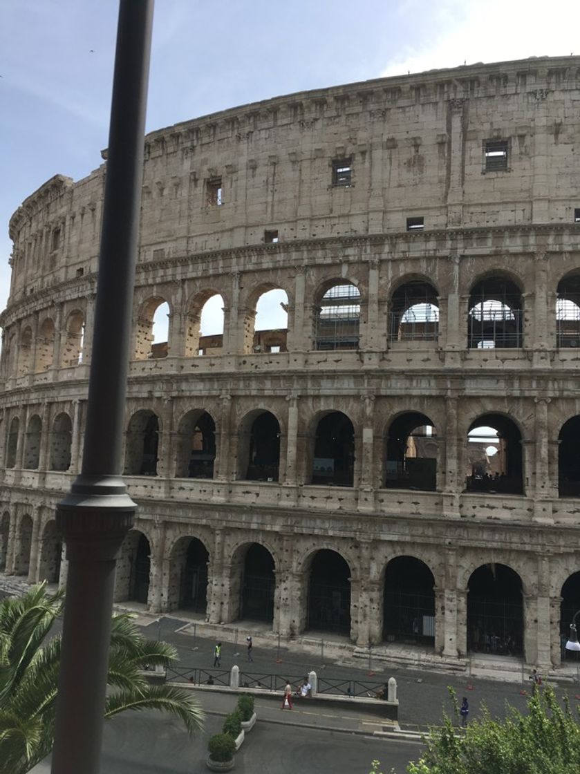 Lugar Coliseo de Roma