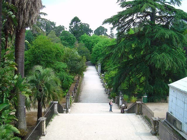 Place Jardim Botânico da Universidade de Coimbra