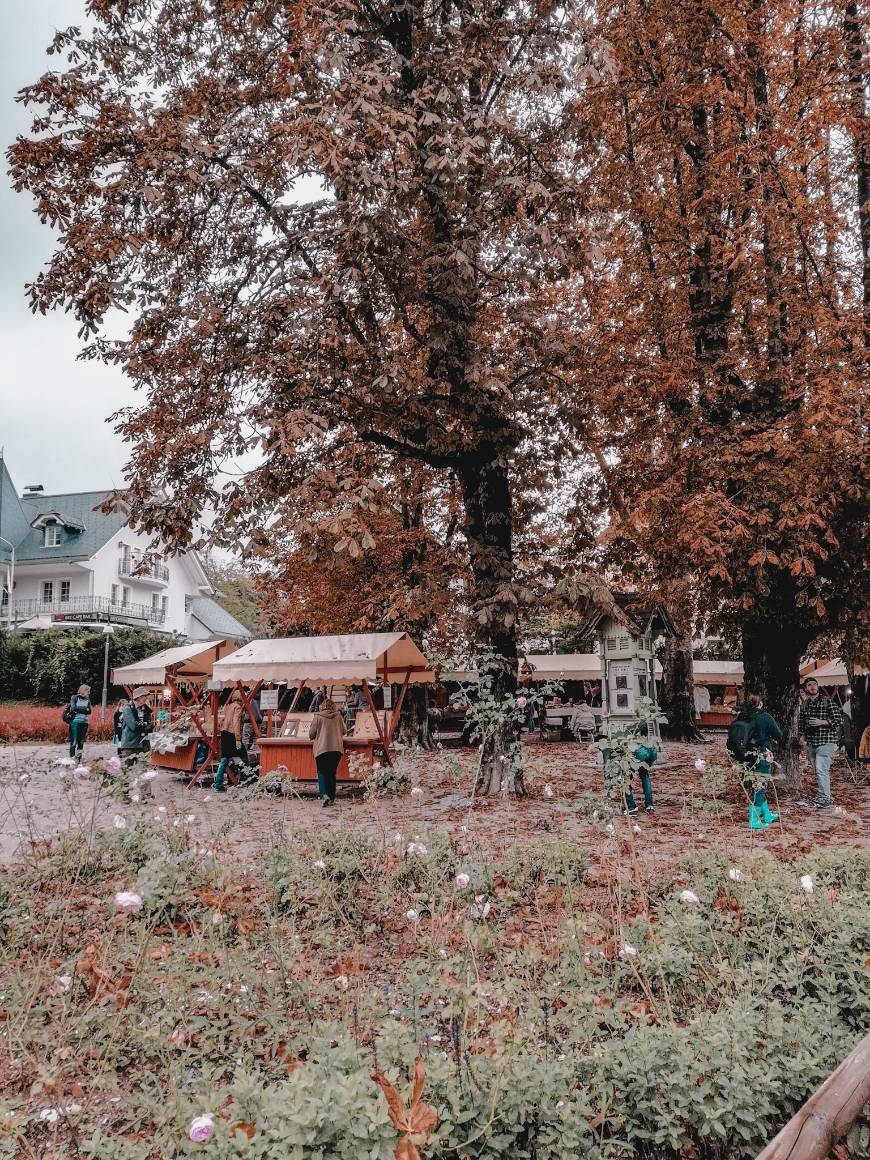 Lugar Lago Bled