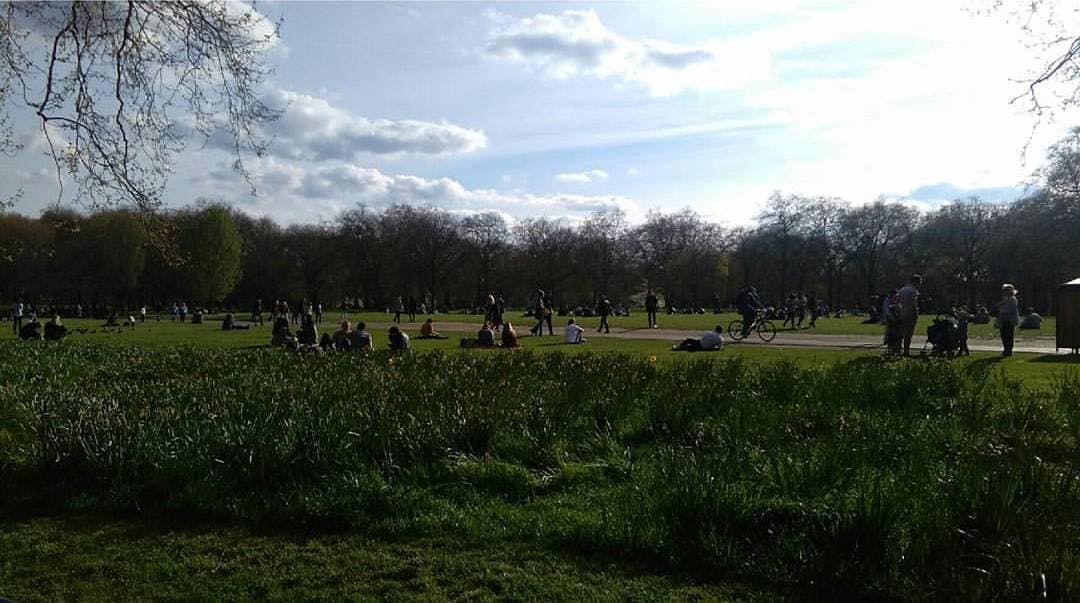 Place Green Park