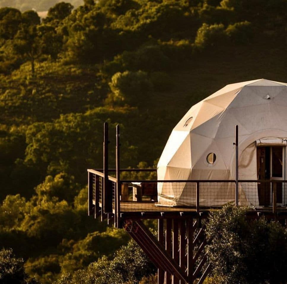 Moda Reserva Alecrim | Glamping - domes, eco-suites & tents