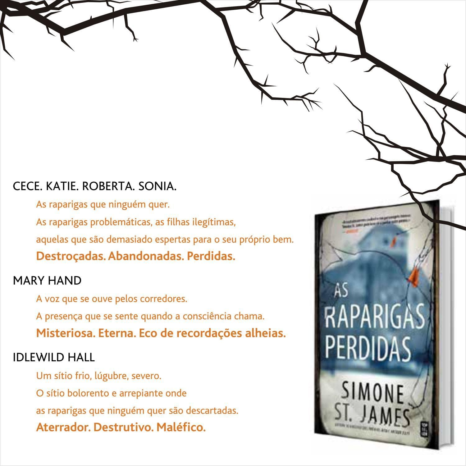 Libro As Raparigas Perdidas