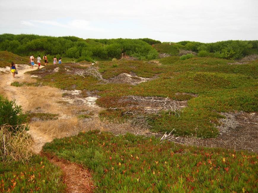 Place Reserva Natural das Dunas de São Jacinto