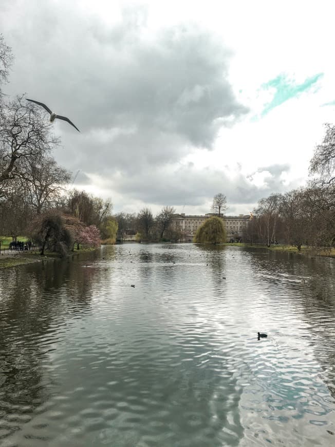 Place St. James's Park