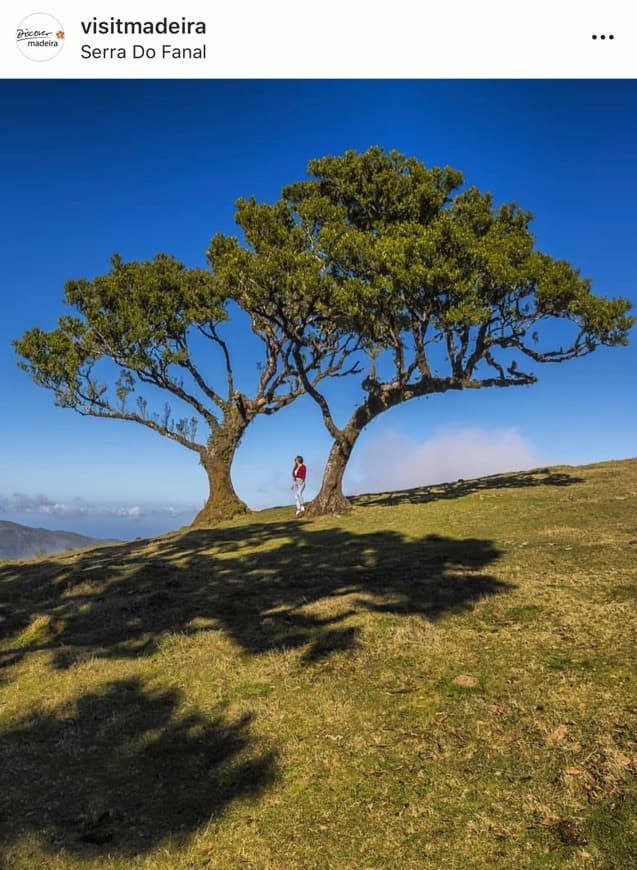 Lugar Serra do Fanal