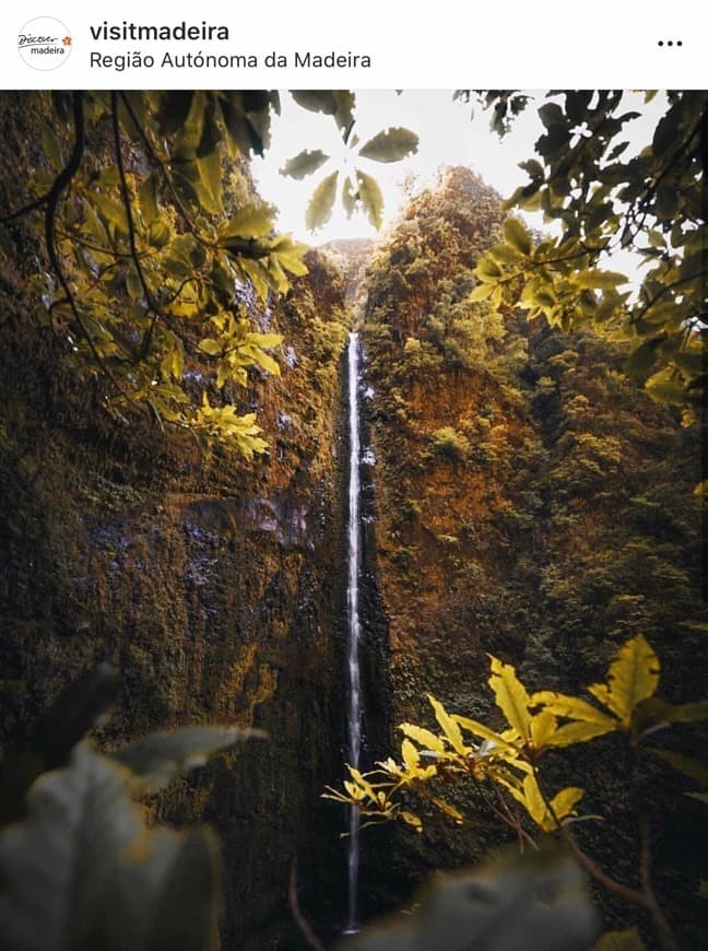 Lugar Madeira