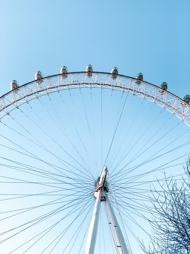 Place London Eye