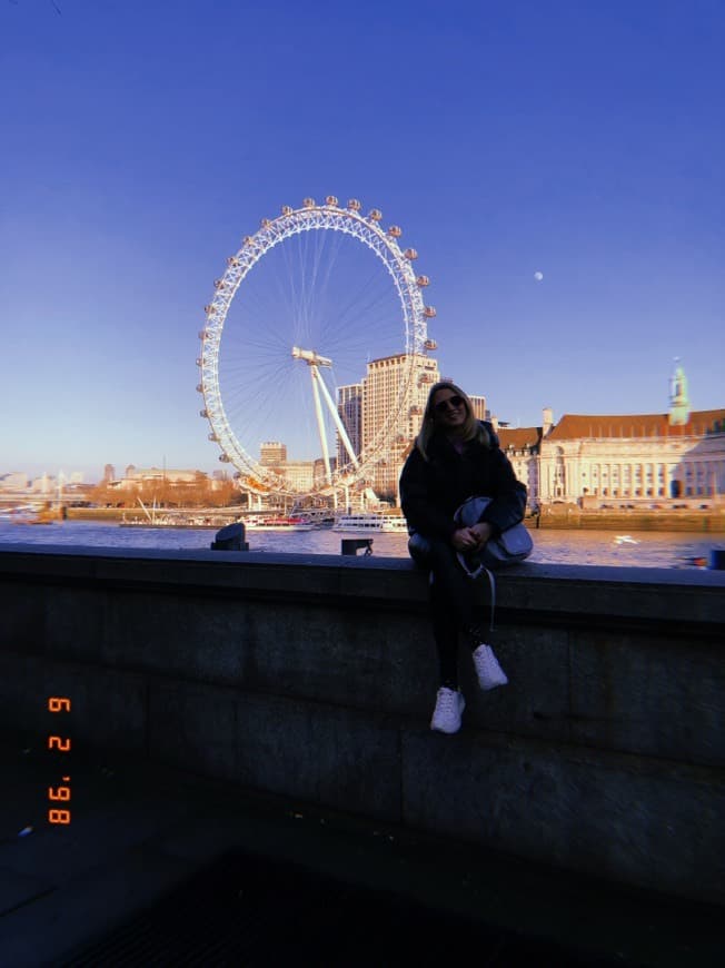 Place London Eye