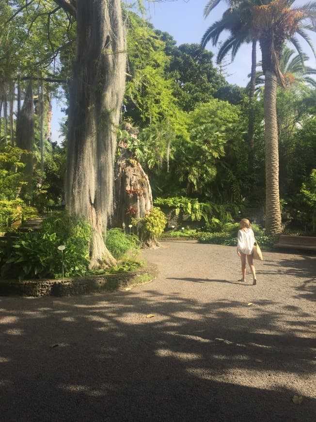 Lugar Jardín Botánico