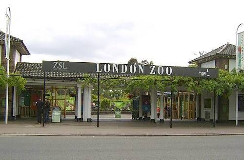 Lugar London Zoo