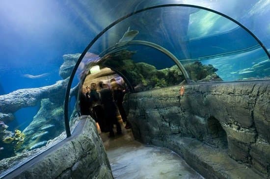 Place Oceanarium