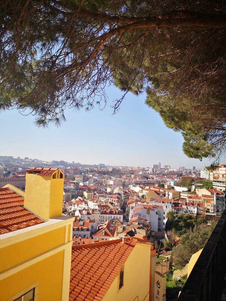 Place Miradouro Sophia de Mello Breyner Andresen