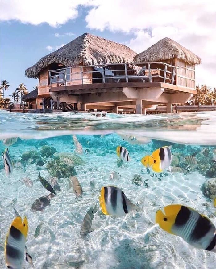 Place Bora Bora