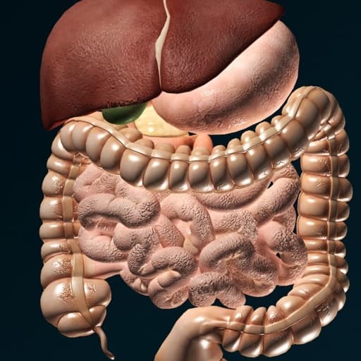 App Órganos 3D (anatomía)