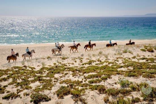 Place Cavalos na Areia