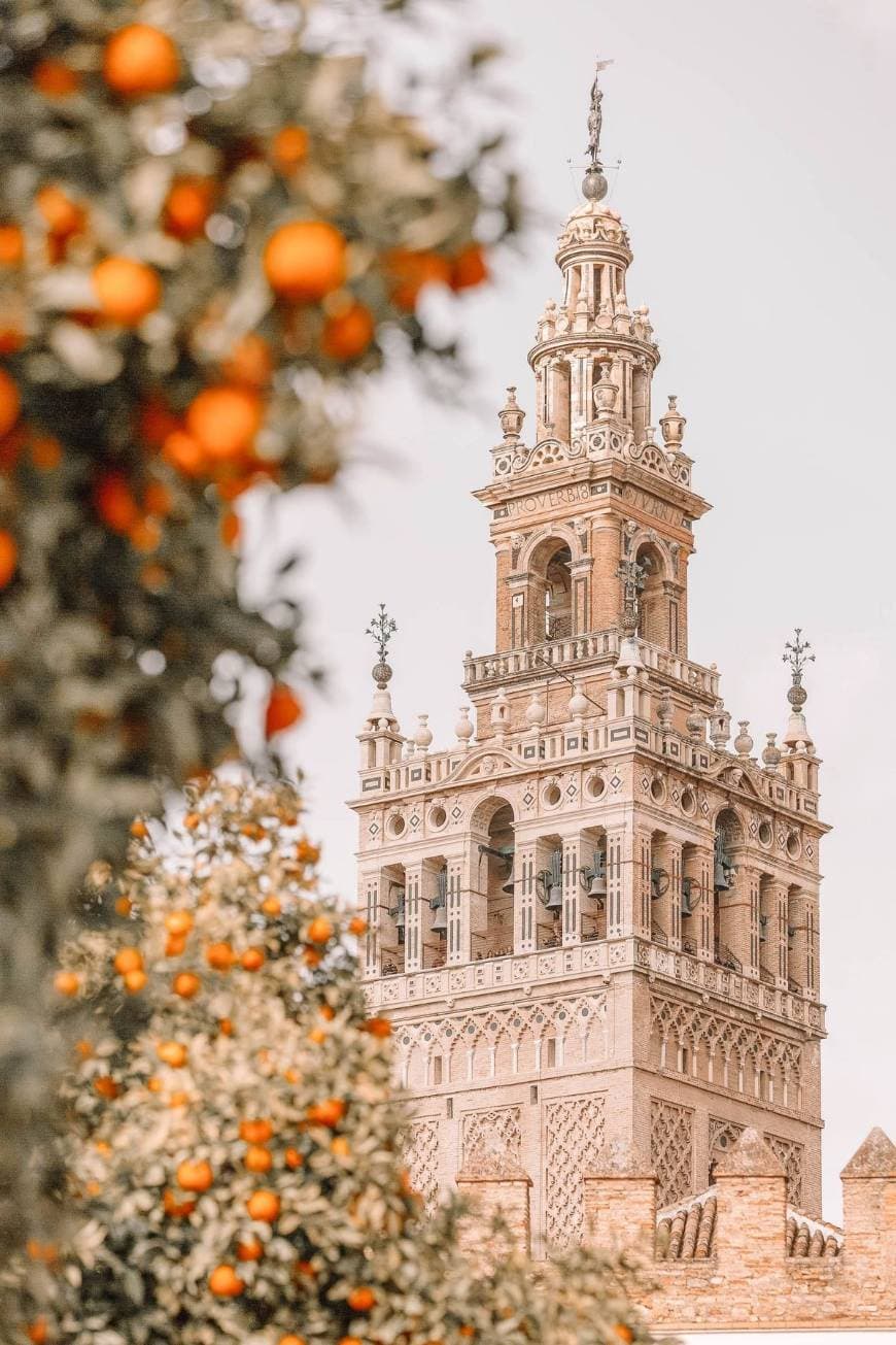 Lugar Catedral de Sevilla