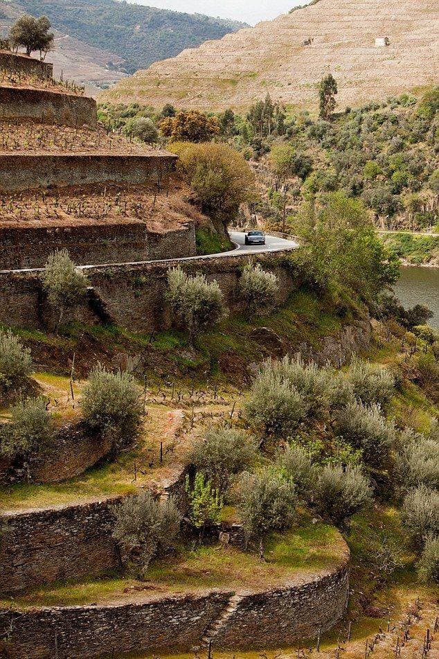 Place Peso da Régua