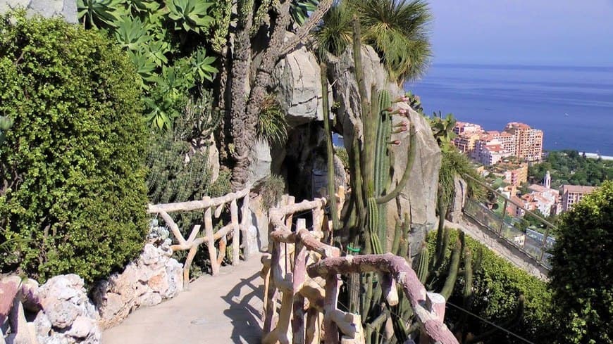 Place Exotic Garden of Monaco