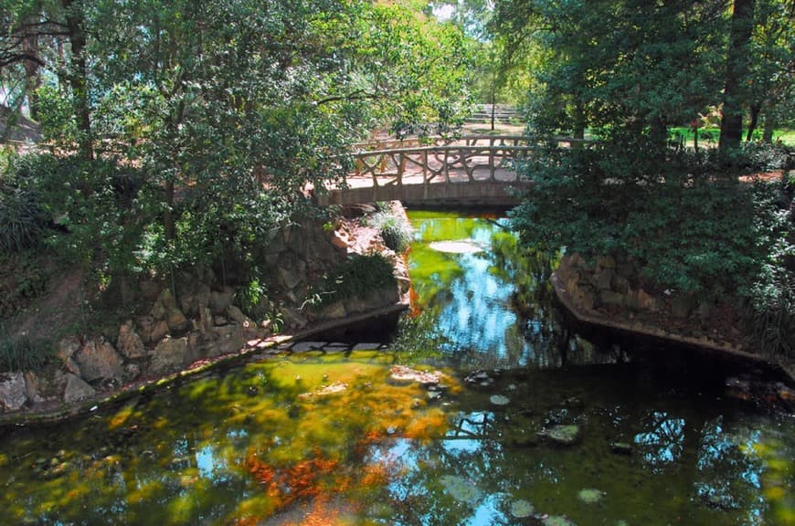 Place Parque São Roque- Porto