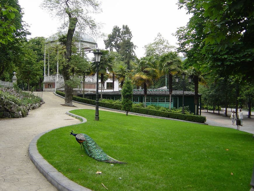 Place Parque Infantil Campo San Francisco Patos