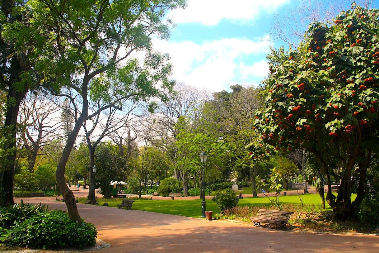 Place Jardim da Estrela