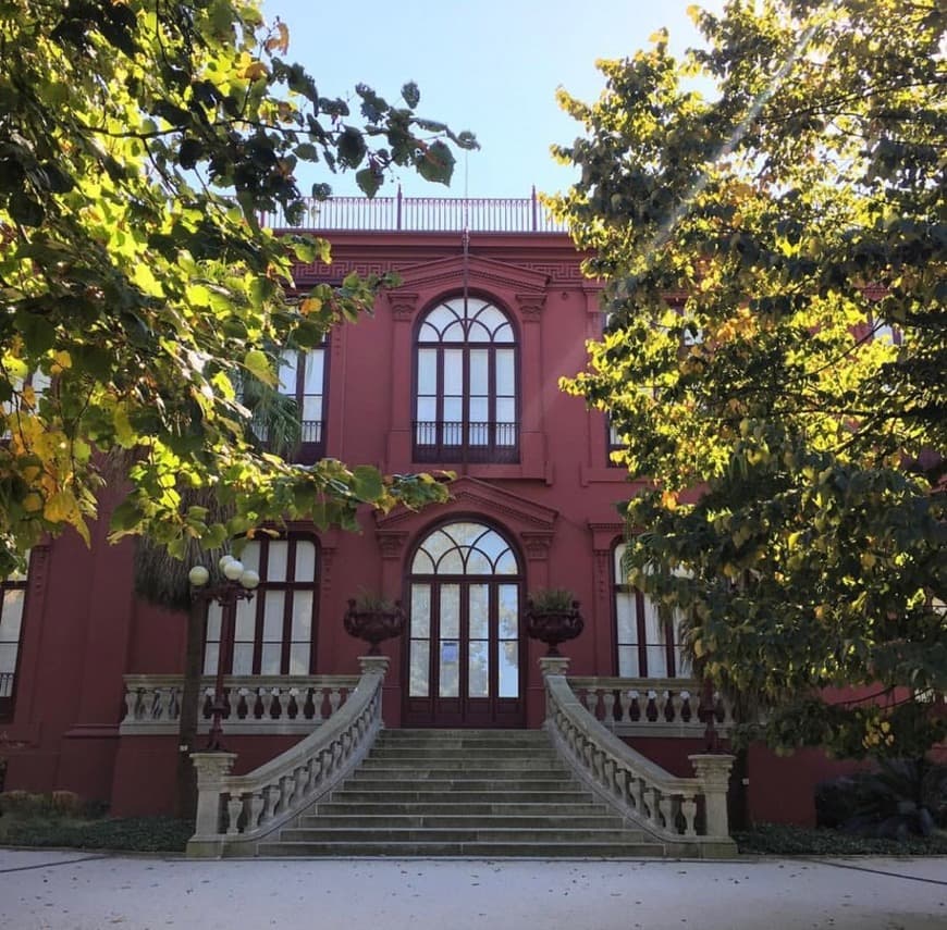 Lugar Jardín Botánico de la Universidad de Oporto