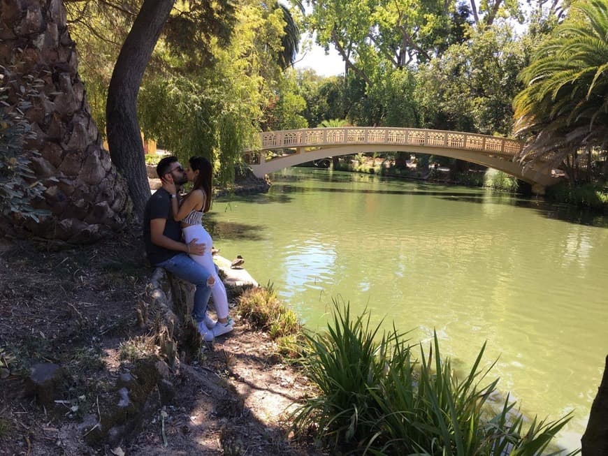 Lugar Parque Dom Pedro Infante - City Park