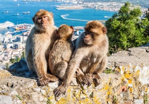 Lugar Gibraltar Nature Reserve