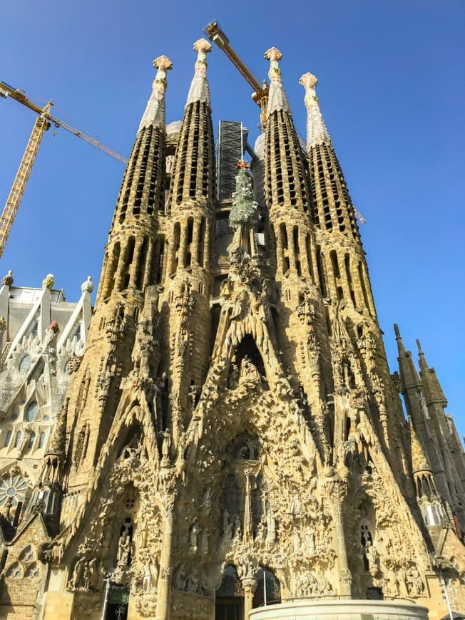 Lugar Basílica Sagrada Familia