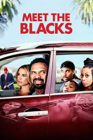 Movie Meet the Blacks