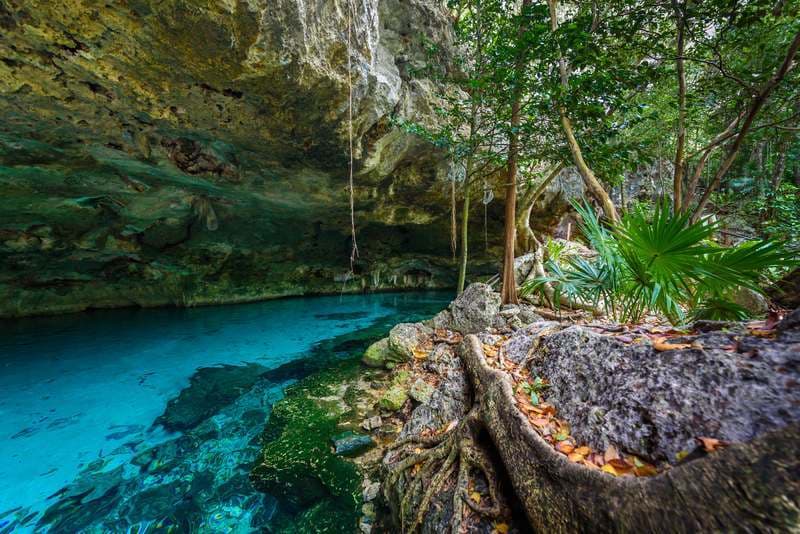 Place Cenote Dos Ojos